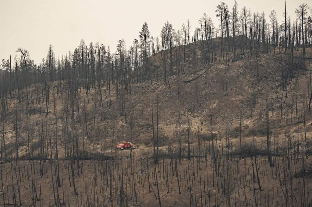 Wildfires expose accessibility failures, advocates say