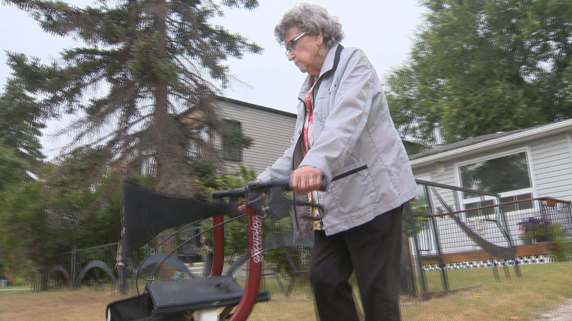 Calgary seniors face service gaps as city program ends