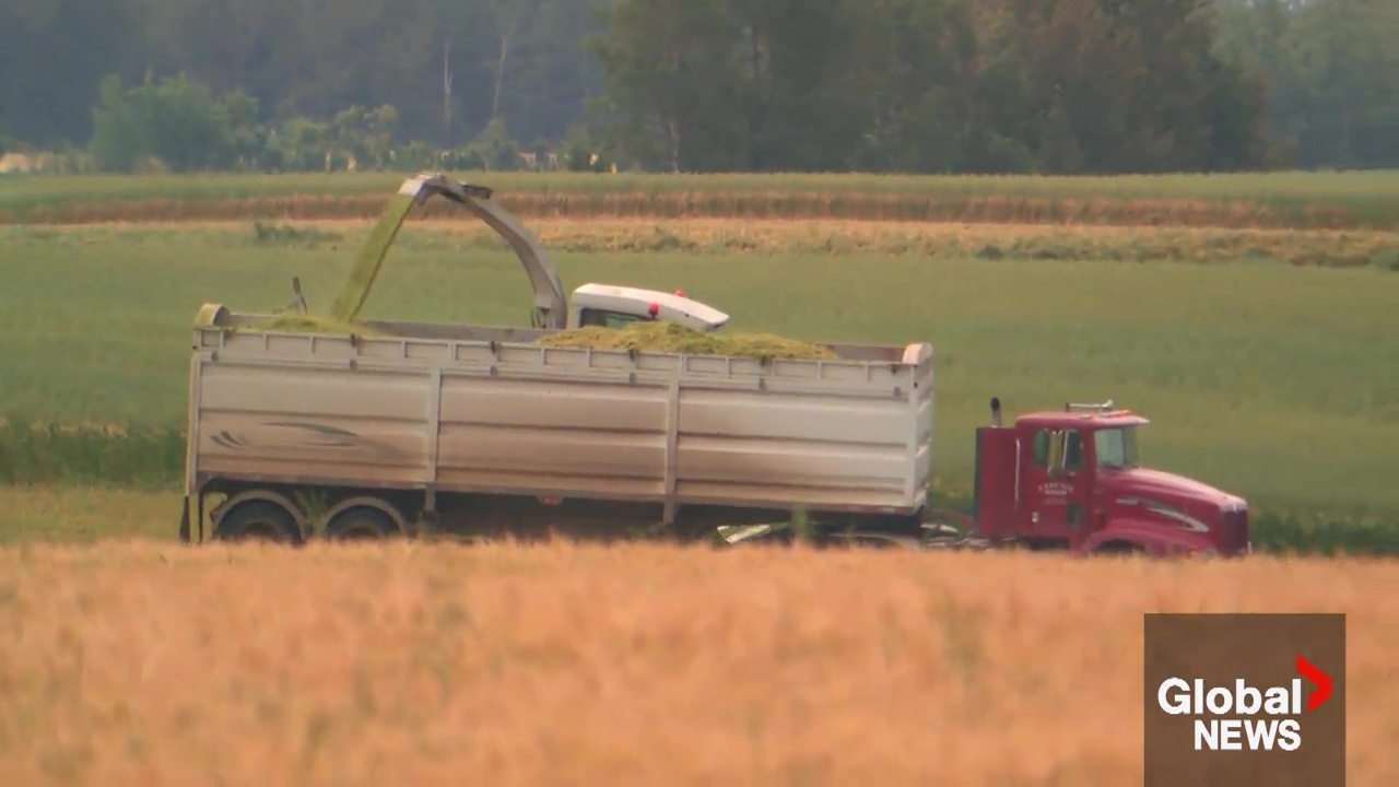 AgriStable отново е отворен за фермерите в Алберта, засегнати от обилните летни дъждове