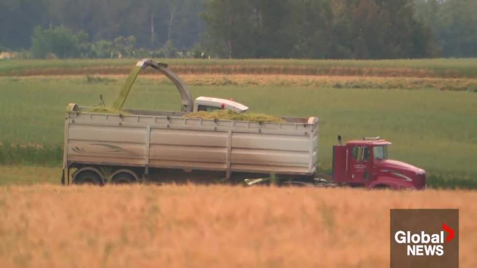 AgriStability reopened for Alberta farmers impacted by extensive summer rains