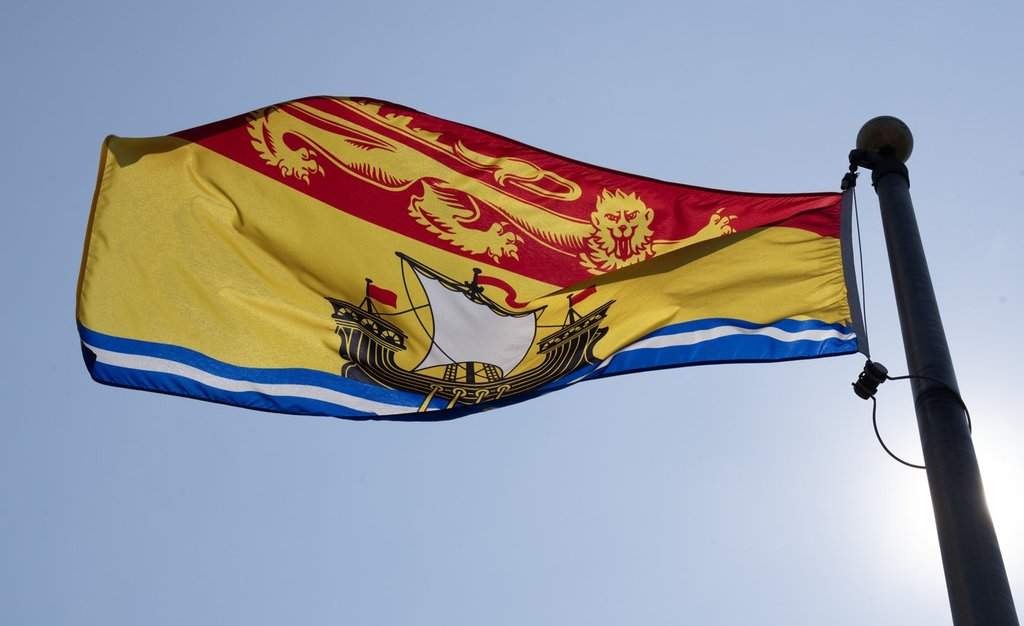 New Brunswick Warns Horse Owners of Possible EHV-1 Exposure