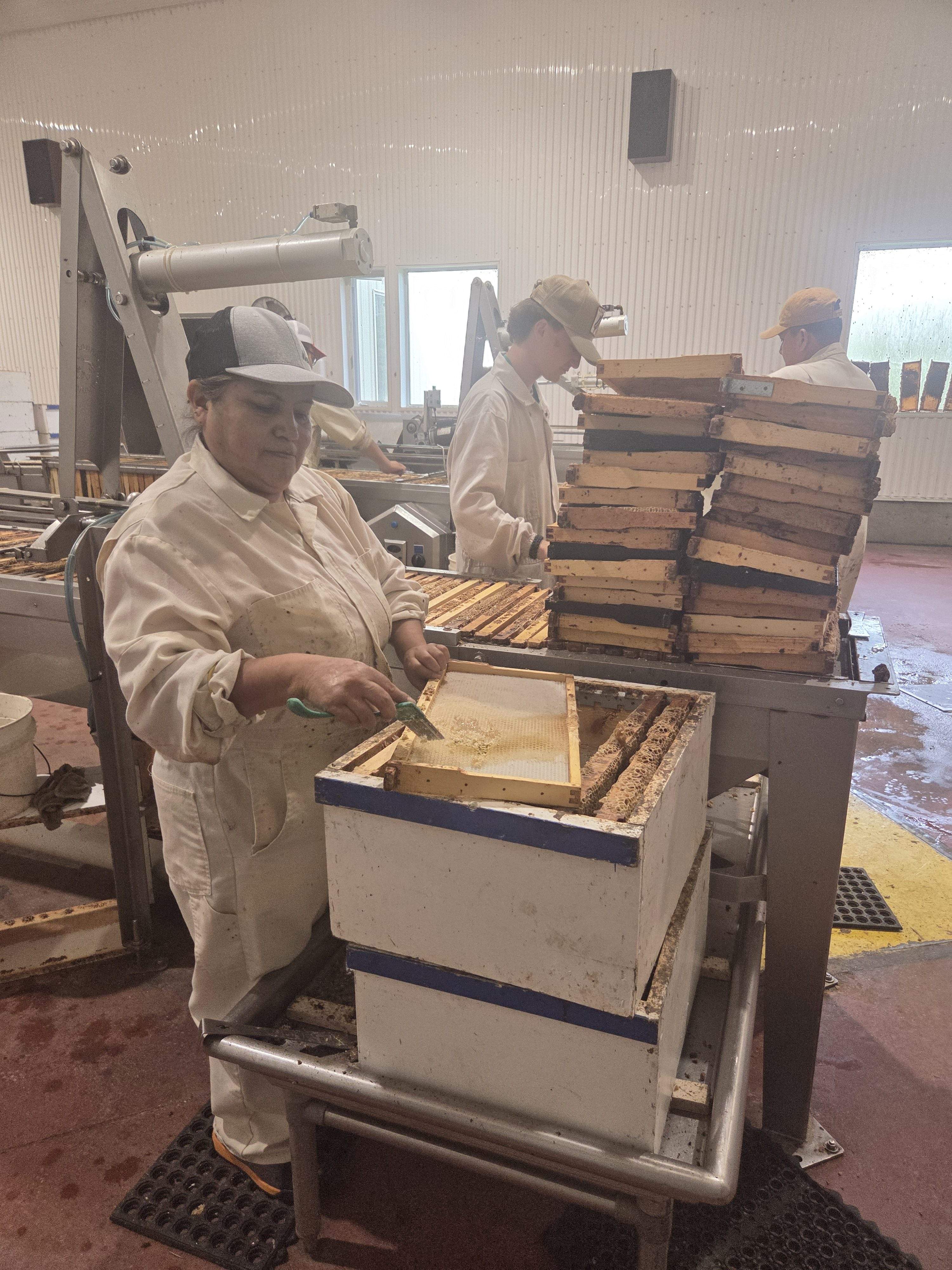 Saskatchewan honey producers face uncertain future amid Canada-U.S. trade war