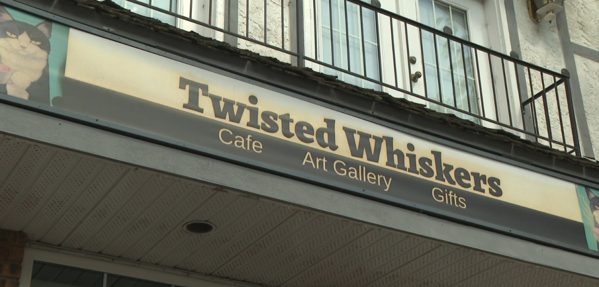 Twisted Whiskers thrift ran for over 2 years. It had many lives and the final one will be a glass fusing work shop starting in October.