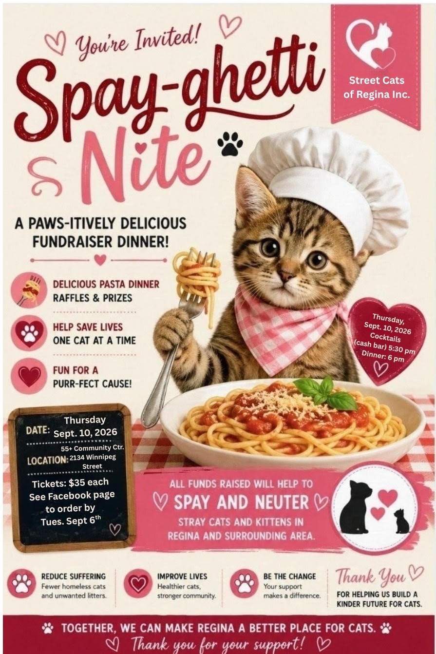 Spay-ghetti Nite - image