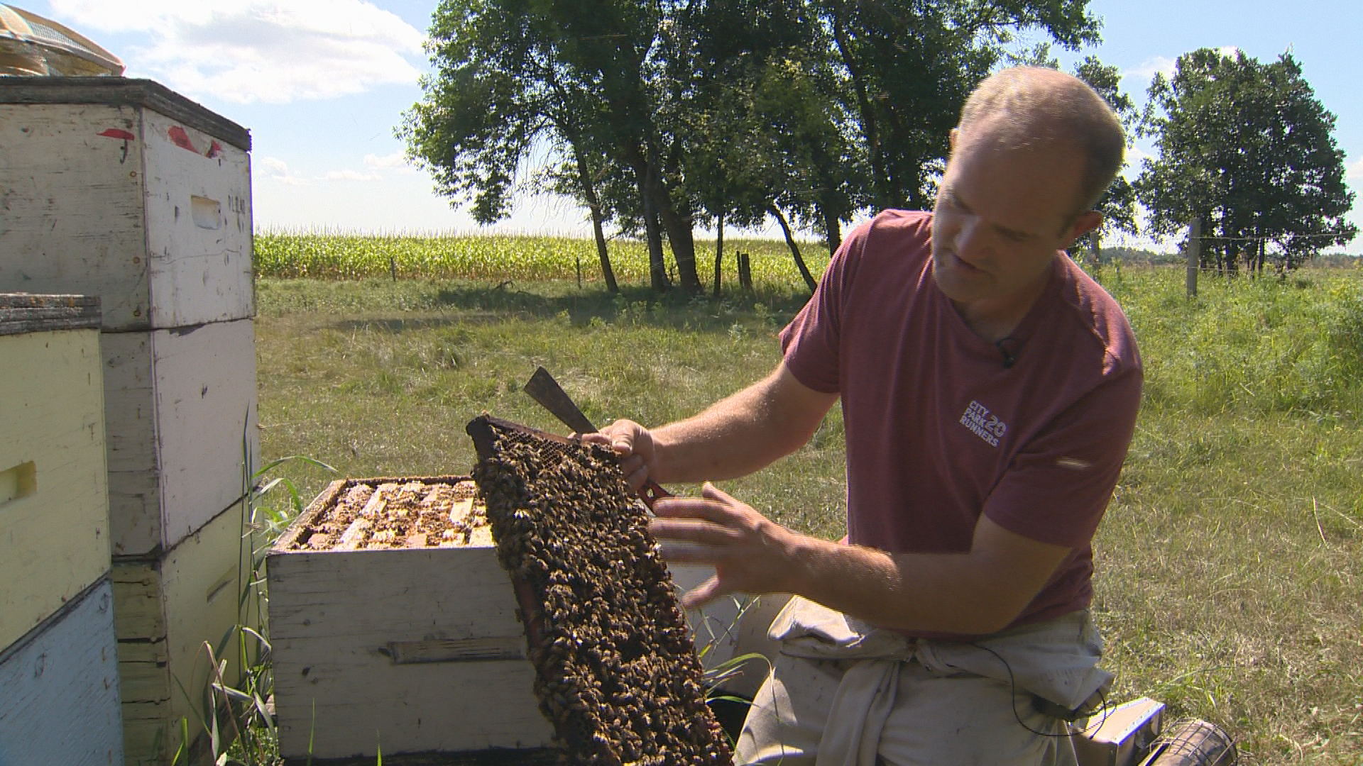 The Economics of Trade Friction Why Manitoba Honey Is Vulnerable To U S Tariffs