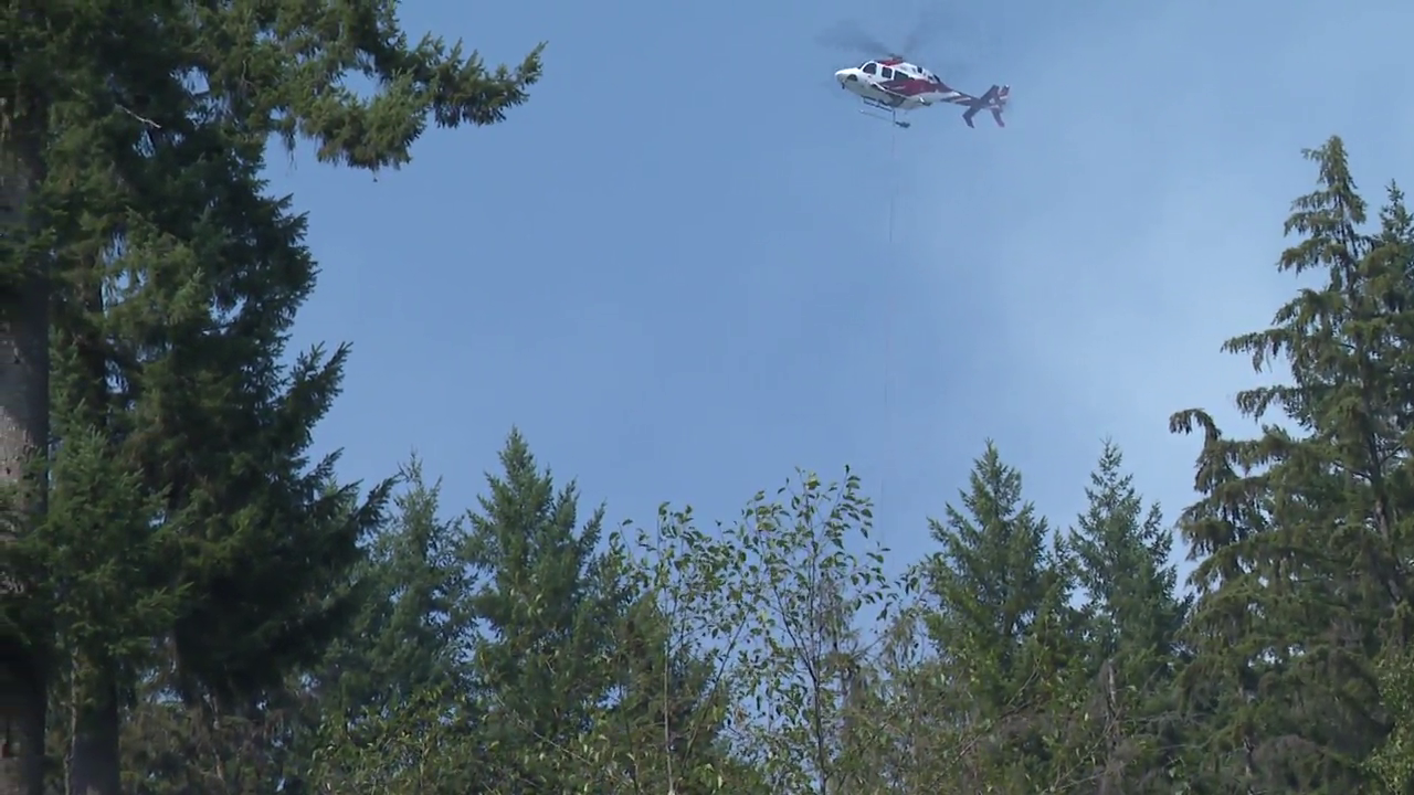 Wildfire breaks out in Belcarra Park near Port Moody, Anmore