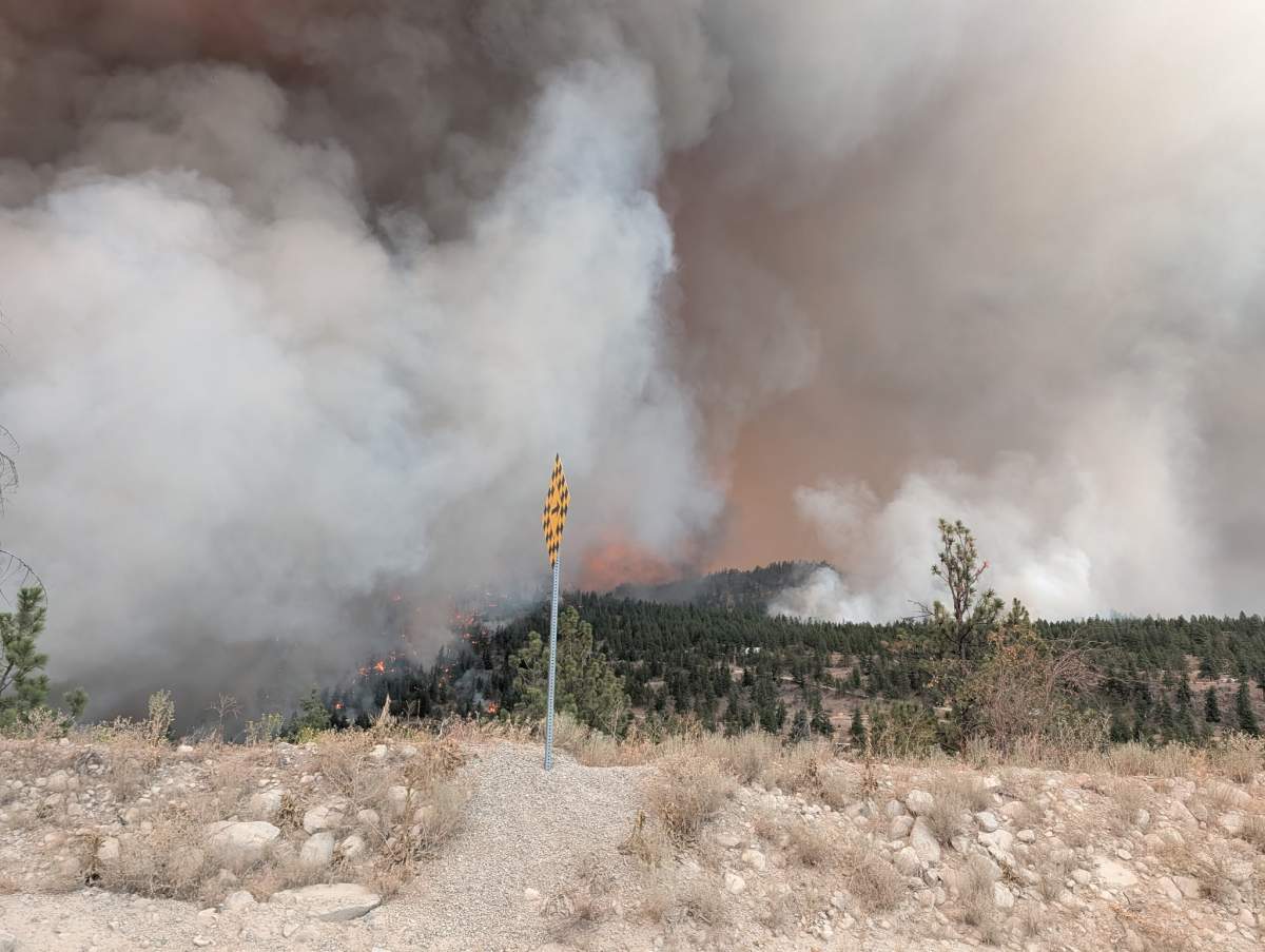 The Bald Range wildfire near Summerland.