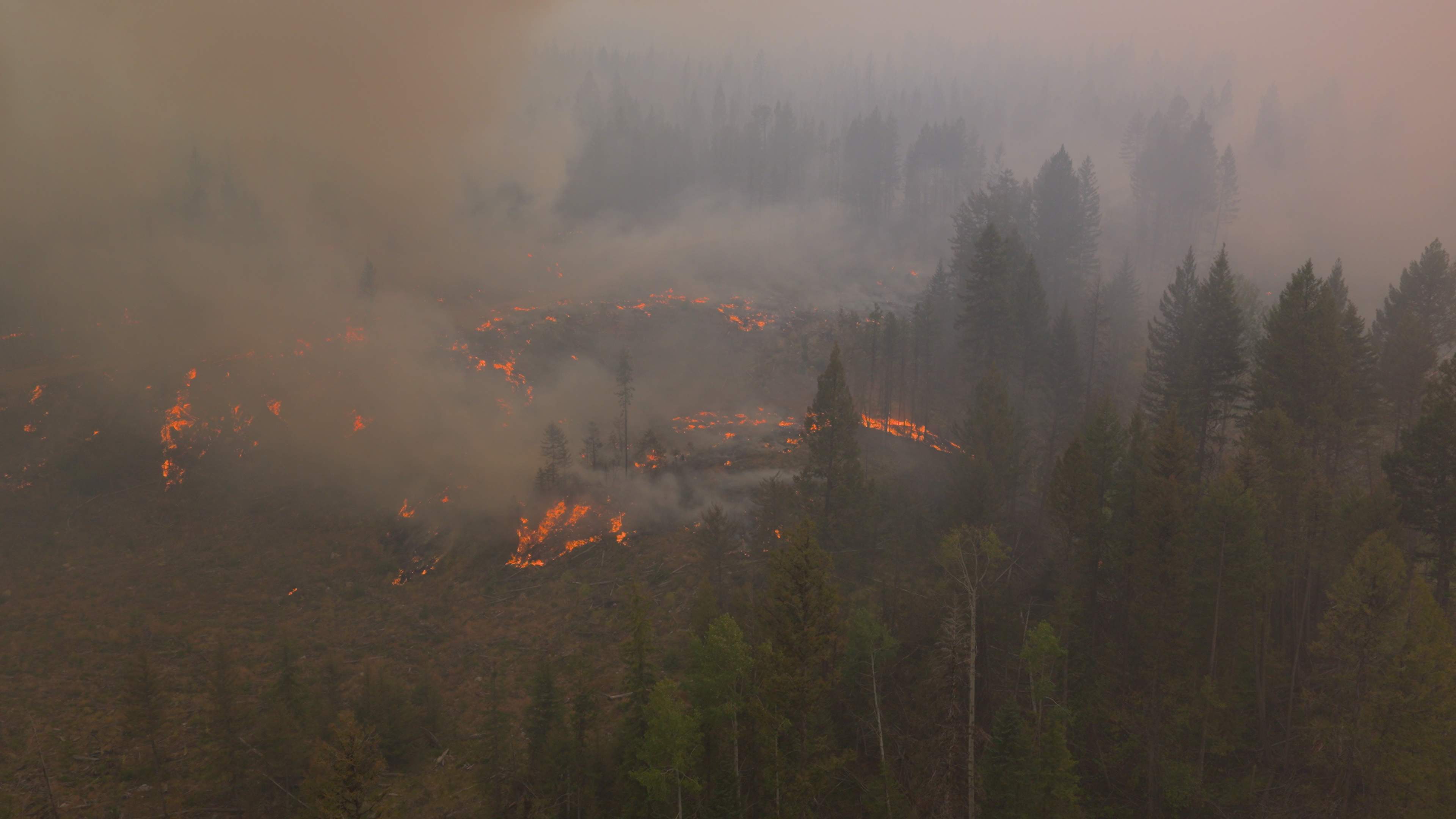 More evacuees return home to Summerland as firefighting efforts move to northwest