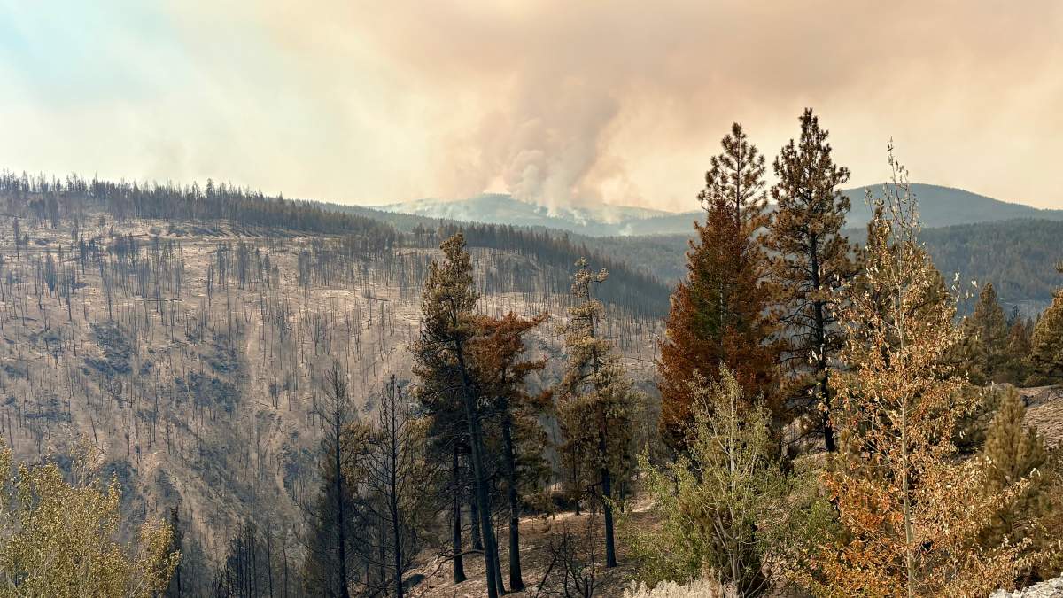 More Summerland residents allowed home as Bald Range fire grows to 24,000 hectares