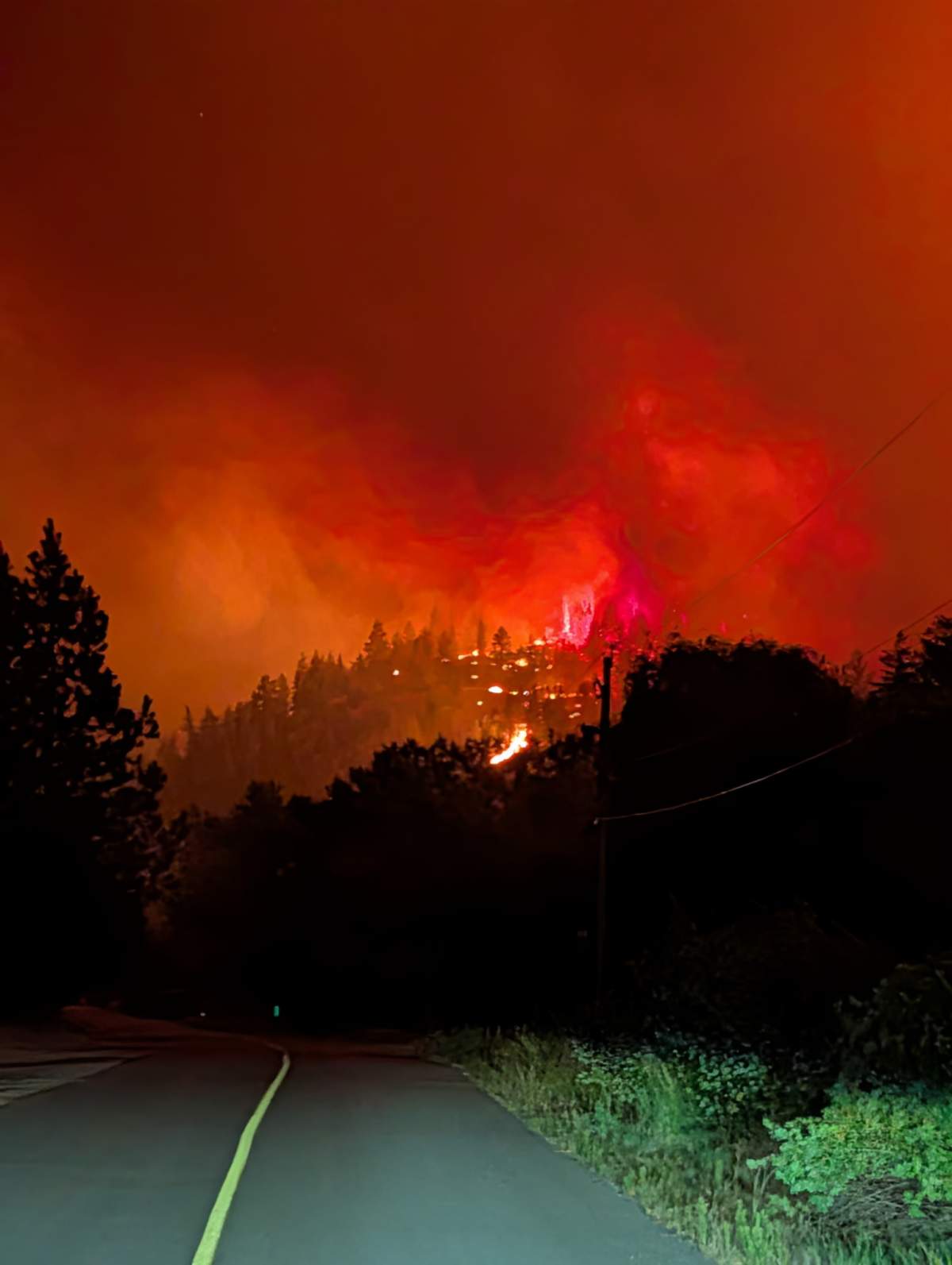 The Bald Range wildfire near Summerland.