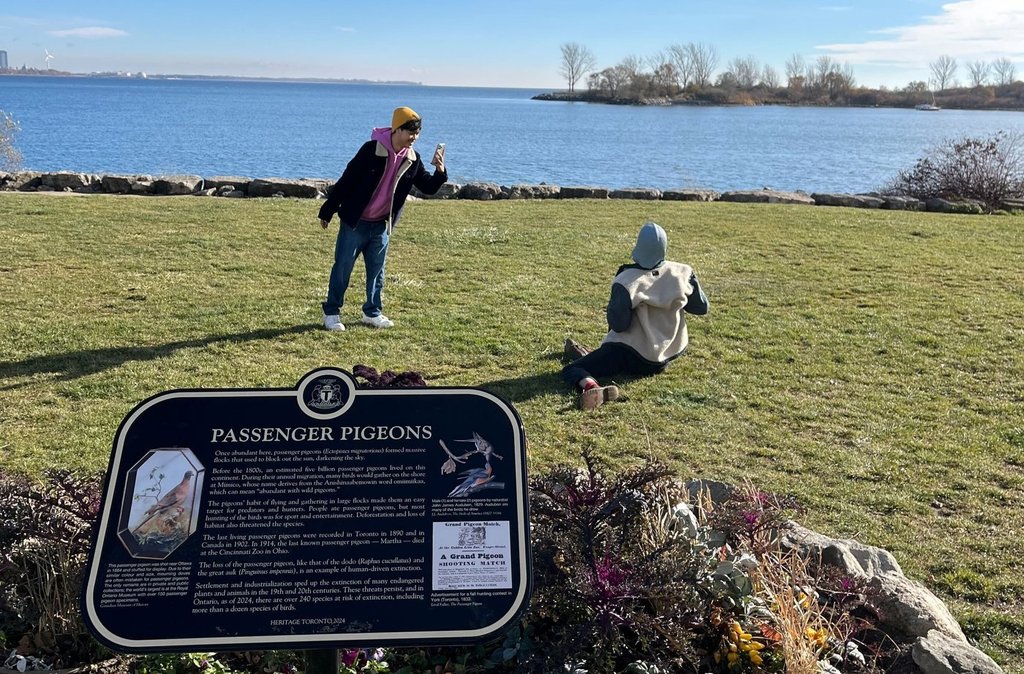 Видеоклиповете Heritage Toronto’s Plaque Friday показват историята на града с вирусни моменти