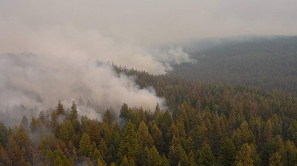 Bald Range wildfire grows to over 22,000 hectares, crews battle strong fire behavior