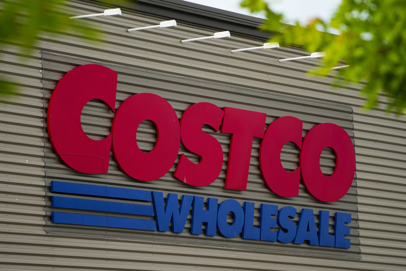 Costco Canada изтегля продукти от кисело мляко, които може да съдържат мухъл