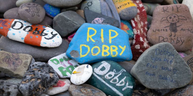 Harry Potter fans revolt over power cable route near Dobby fictional grave