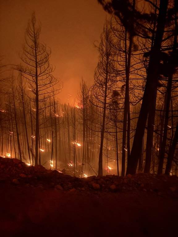 B.C. to provide wildfire and drought update as more than 100 fires burn
