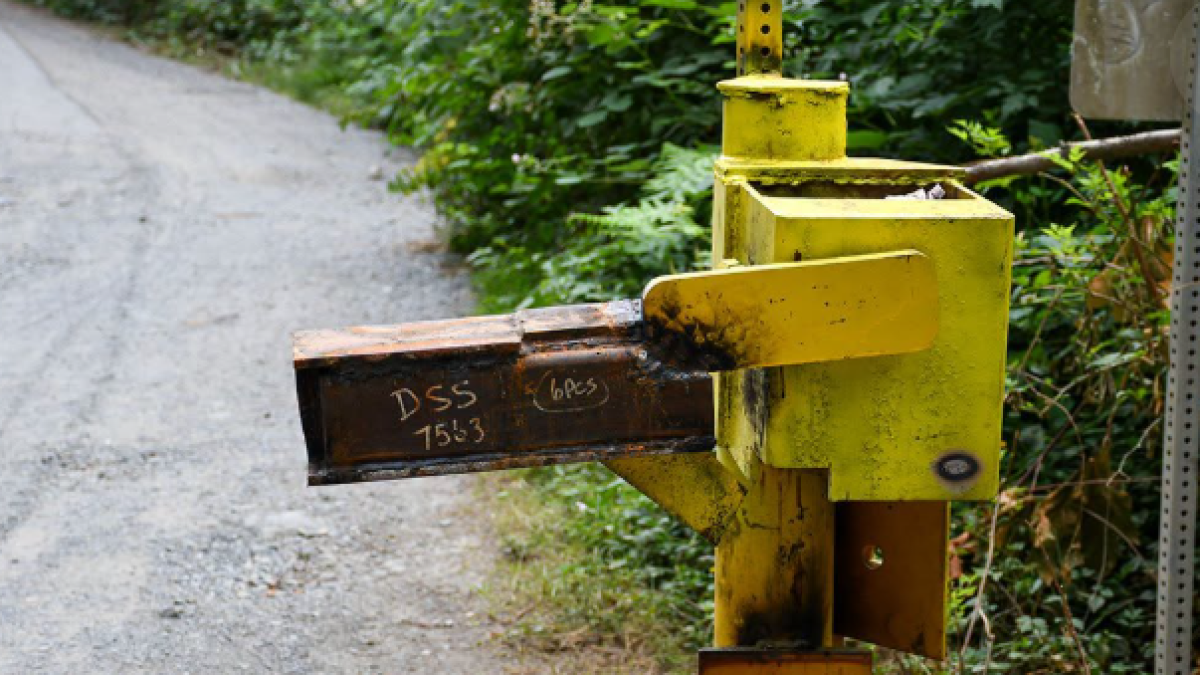 Ladysmith calls on province to take action to protect its drinking water