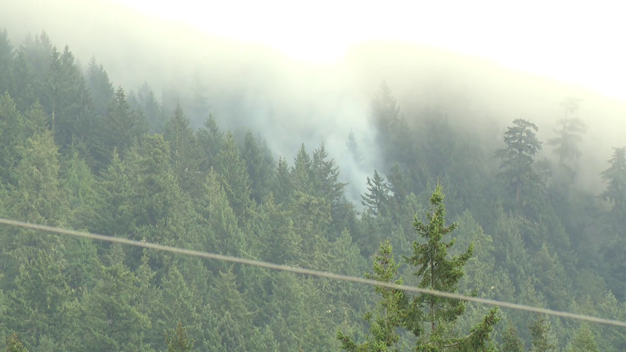 Lions Bay evacuation alert rescinded, Lone Tree Creek wildfire now being held