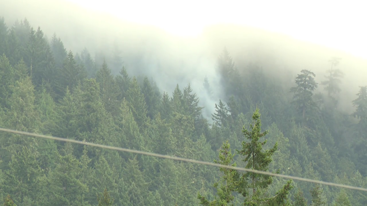 The fire burning above Lions Bay on Sunday afternoon. 