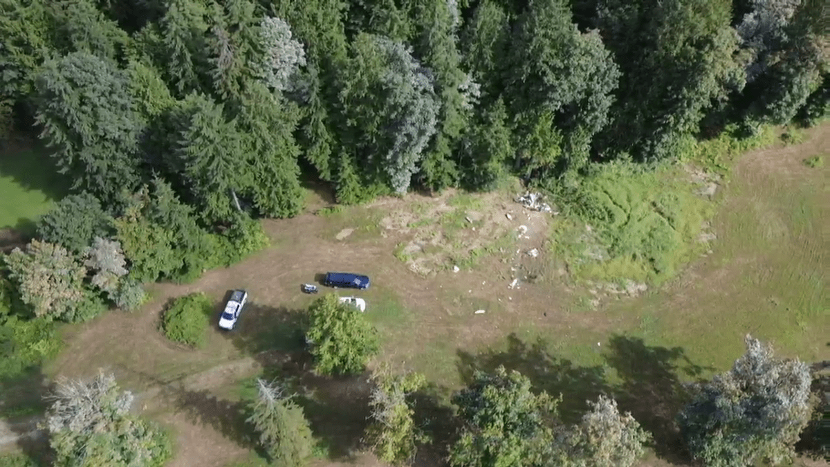 The wreckage of a plane crash in Mission.