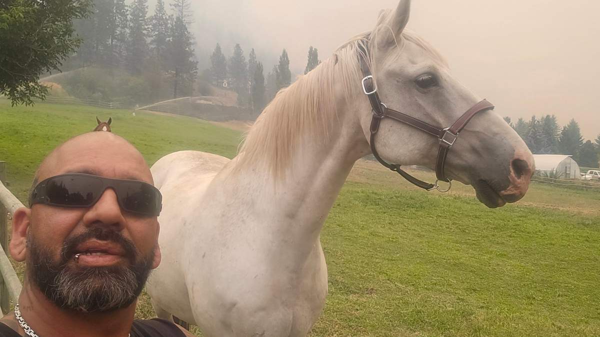 Summerland wildfire livestock ‘hero’ stopped after breaking the rules