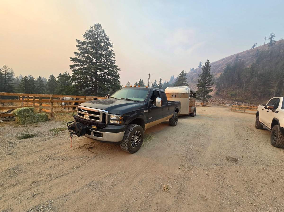 People rushed to help rescue livestock and animals from the wildfire evacuation zone near Summerland.