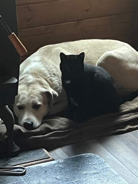 Rejean Simpson said she and her pets are safe.