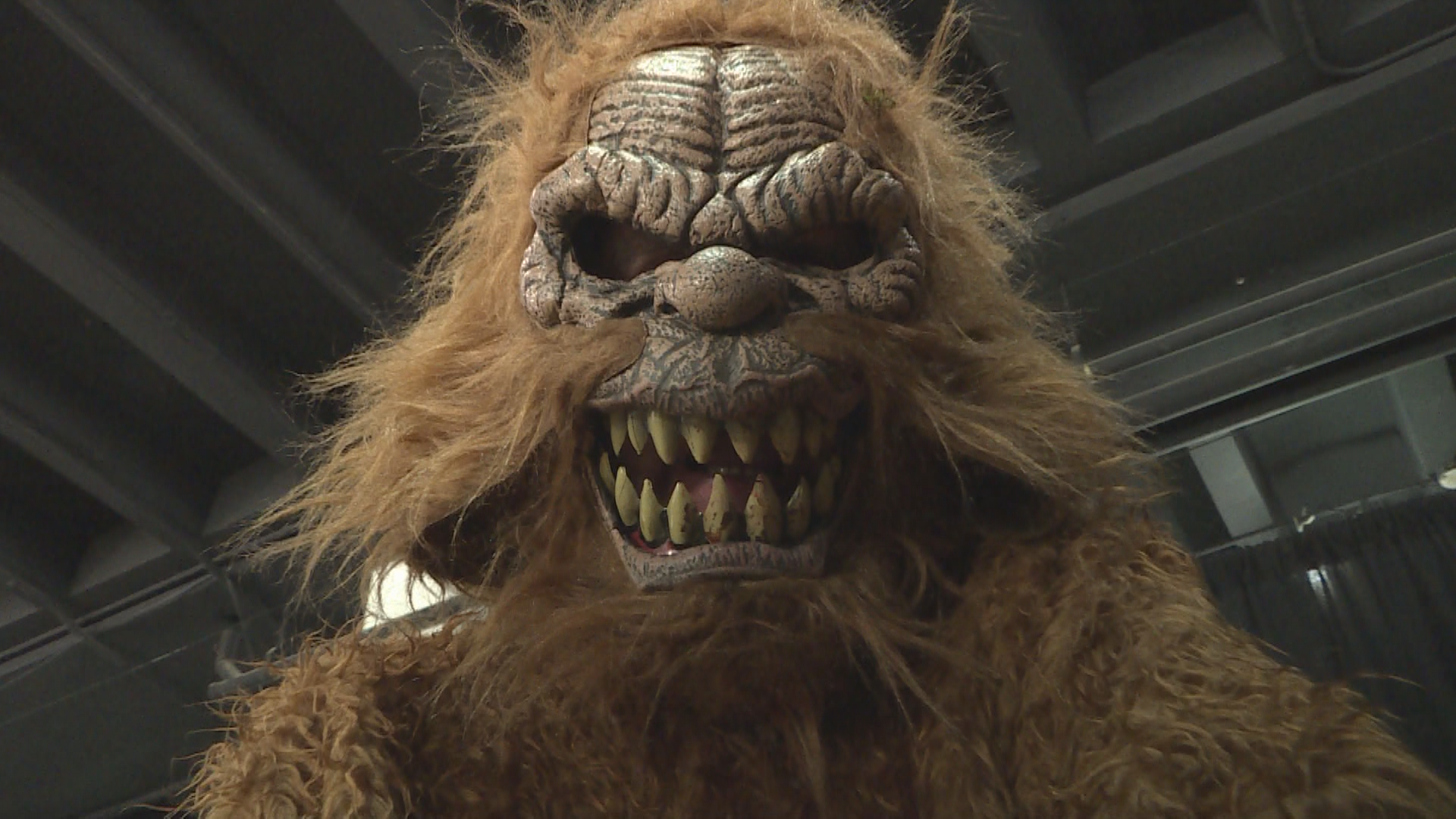 Canadian filmmaker sets record for most Bigfoot live-action movies