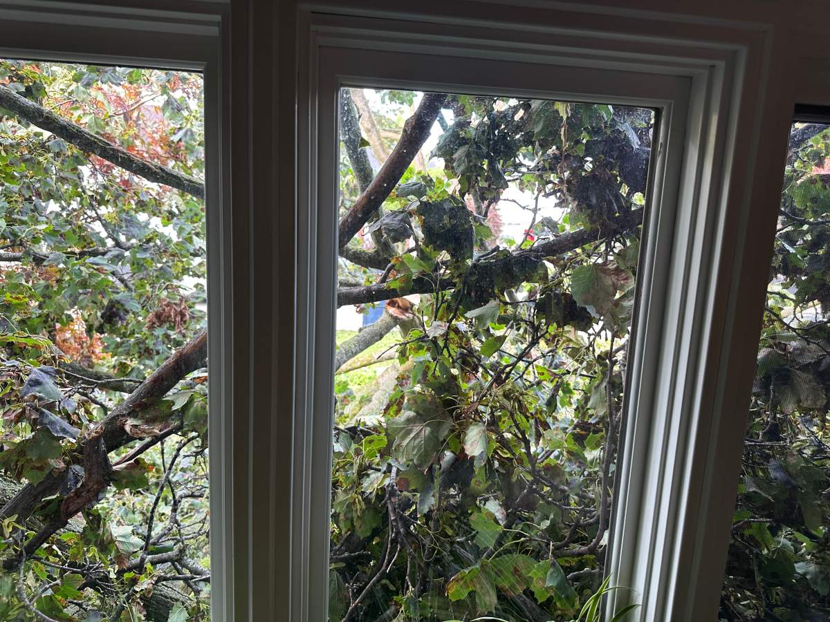 A massive tree limb fell onto the property during Wednesday’s storm.