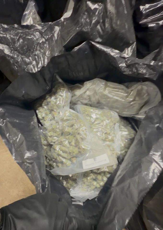 Dried cannabis, hashish and THC concentrate were seized, the Saskatchewan RCMP said.