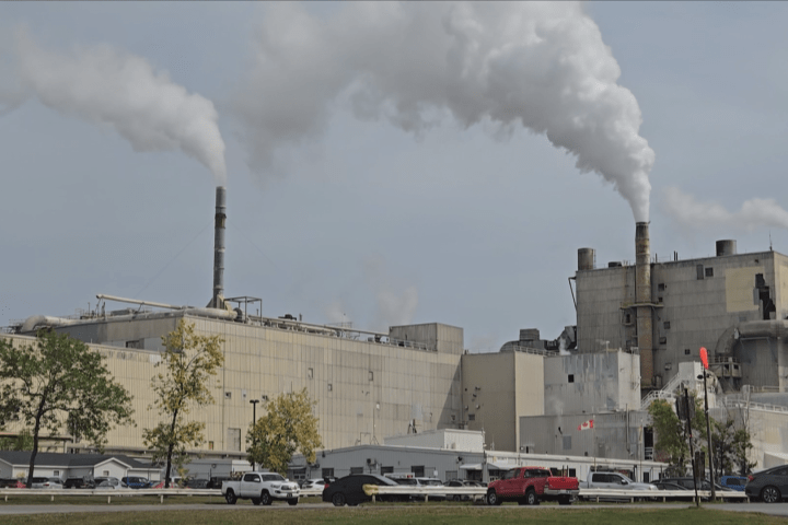 Uncertainty hangs over Nackawic after pulp mill announces temporary shutdown