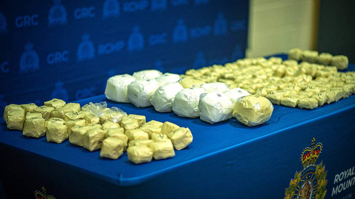 16 charged in cocaine trafficking investigation in Quebec