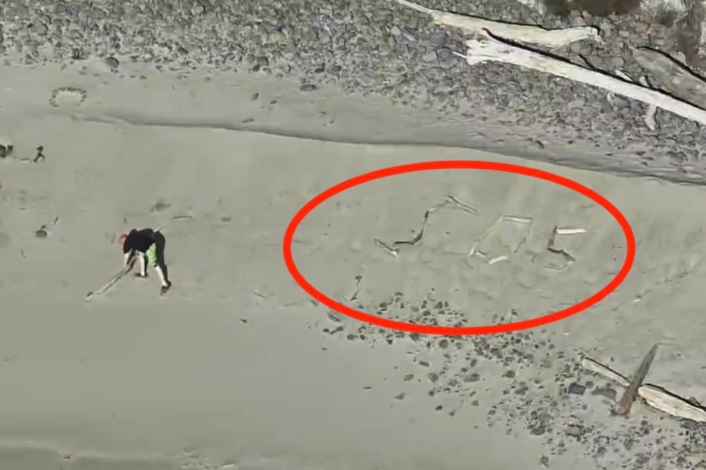 Туристи бяха спасени от плажа в Орегон, след като изписаха „SOS“ с driftwood