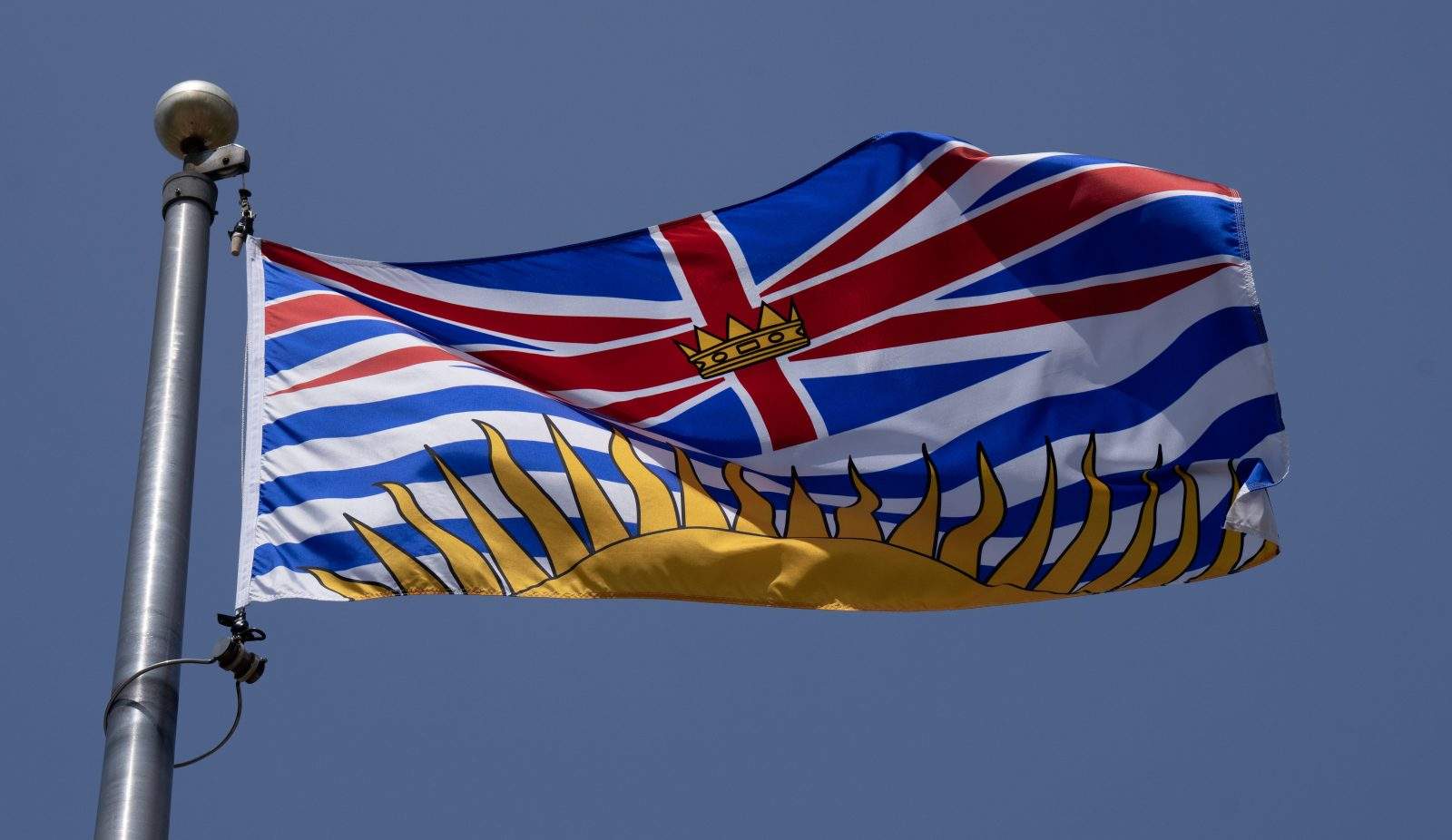Ousted B.C. Conservative candidate Joachim Agou apologizes for posts deemed racist