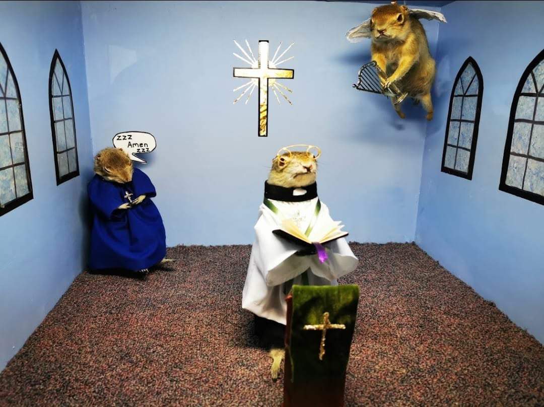 Stuffed Richardson’s ground squirrels are displayed at the World Famous Gopher Hole Museum in Torrington, Alta., in this undated handout photo.