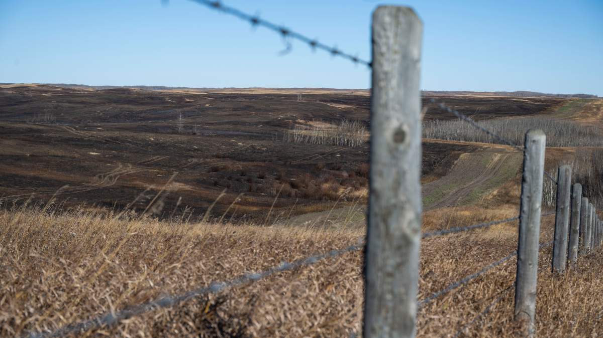 The burn area on CFB Wainwright south of the town Wainwright Alta., on Sunday, Oct. 18, 2026. Four people have been killed and numerous others injured.
