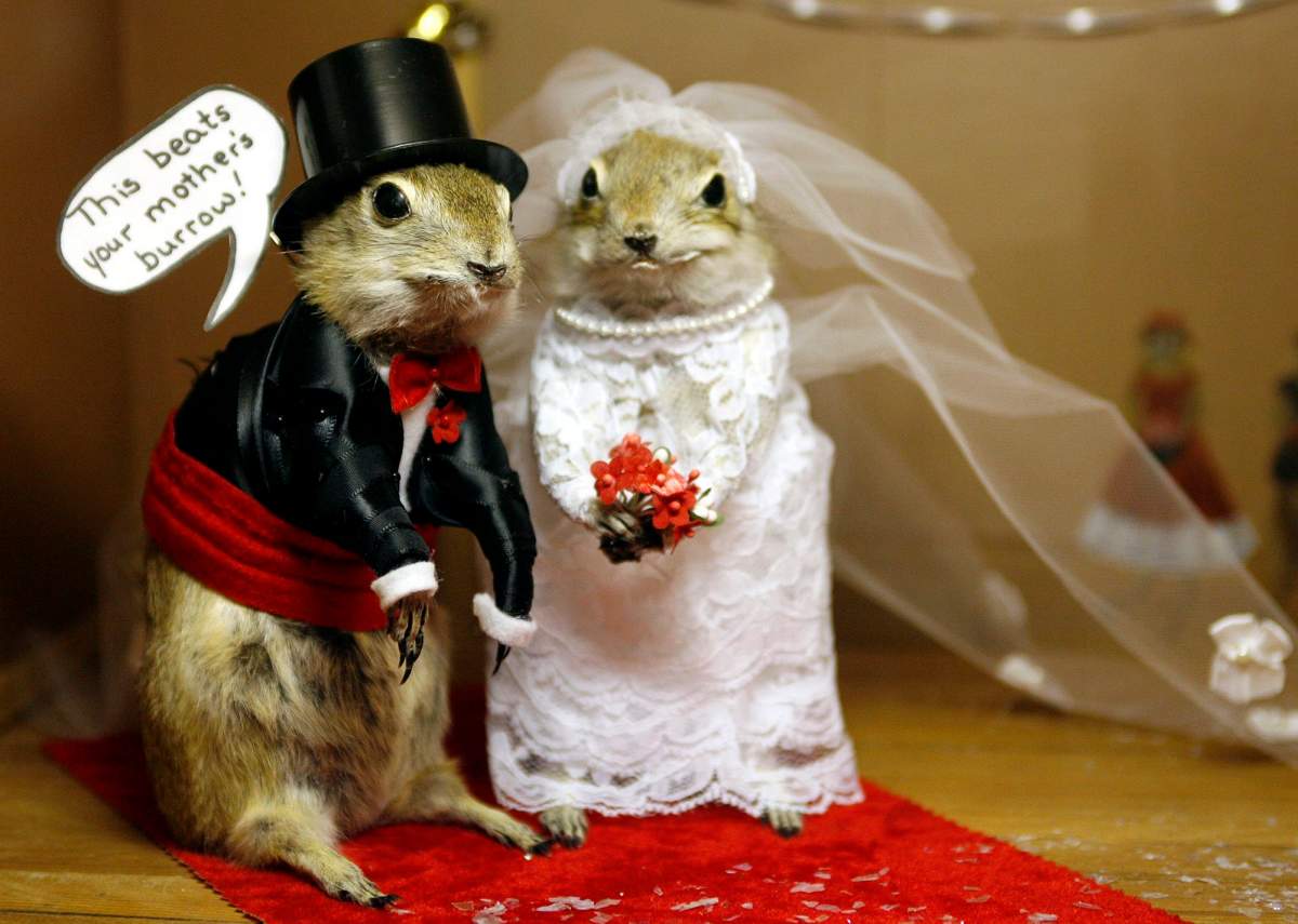 The gopher museum in Torrington, Alta., seen on Monday, June 19, 2006, features more than 77 taxidermied gophers dressed as hunters, bikers, clergy and beauticians and draws about 5,000 visitors annually. 