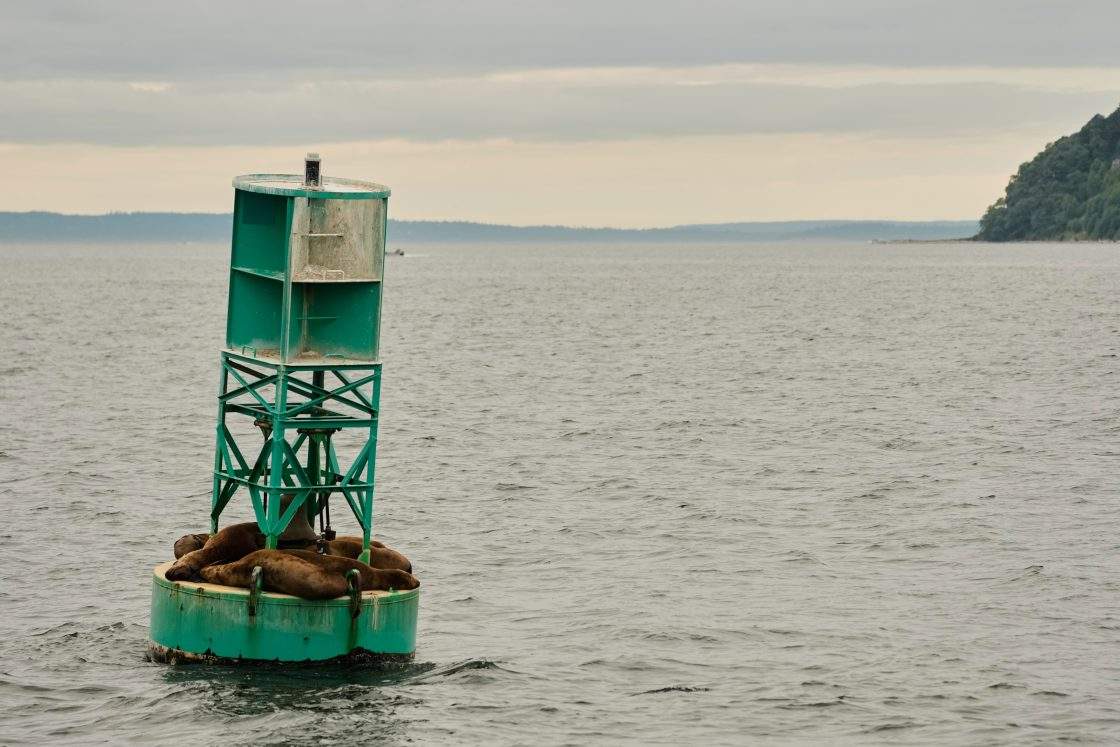 Canadian buoy found on shore of Irish island after journey across Atlantic