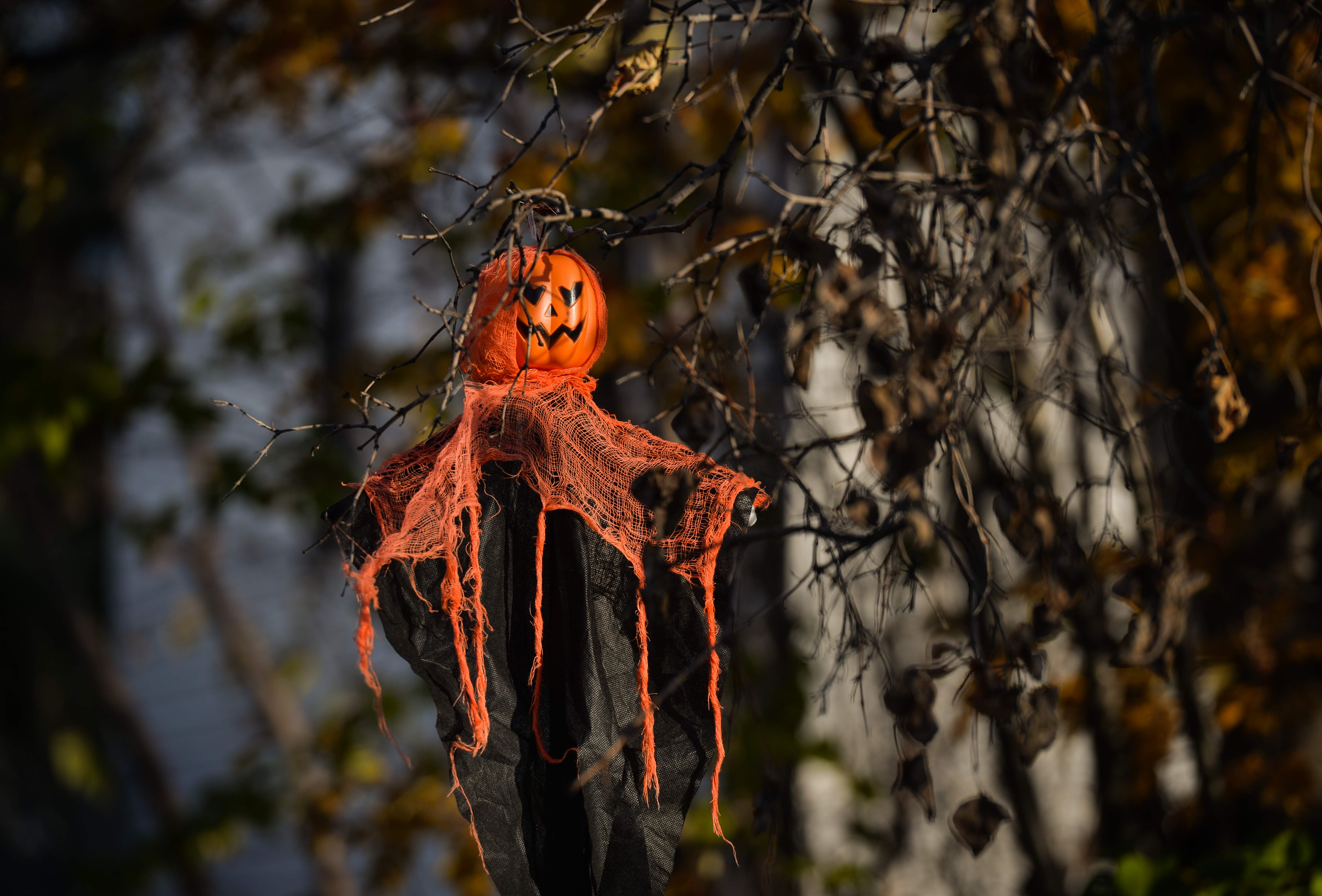 Edmonton experiences first major snowfall — just days before Halloween