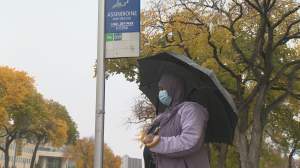 fatima bashir waiting at a bus stop in the rain.