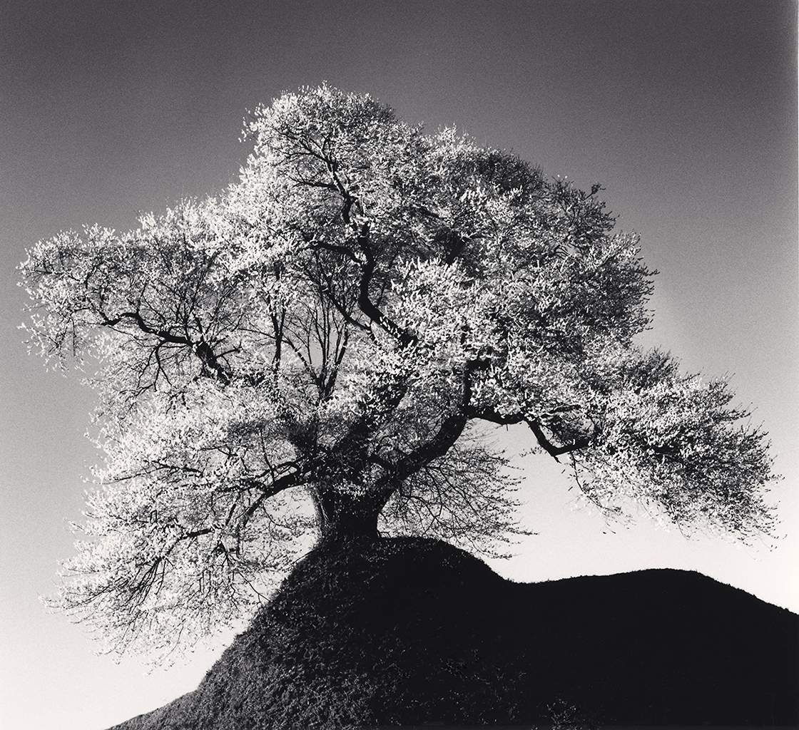 Michael Kenna’s “Beautiful Fukushima” - image
