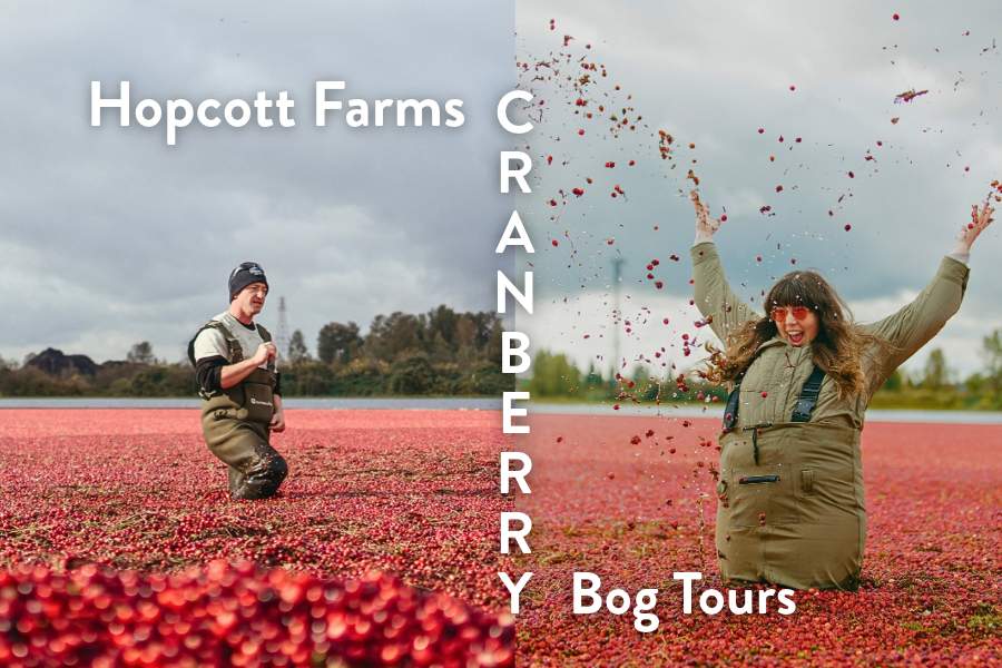 Hopcott Farms Cranberry Bog Tours - image