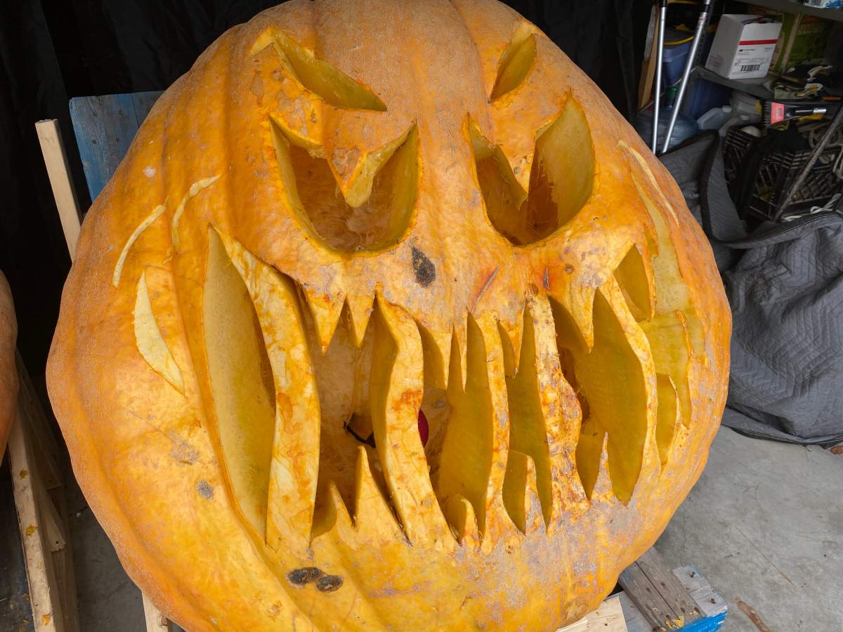 pumpkin