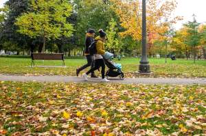 A couple pushes a stroller through Fall leaves at Trinity Bellwoods Park, Toronto, Thursday, October 28, 2021. THE CANADIAN PRESS/Eduardo Lima