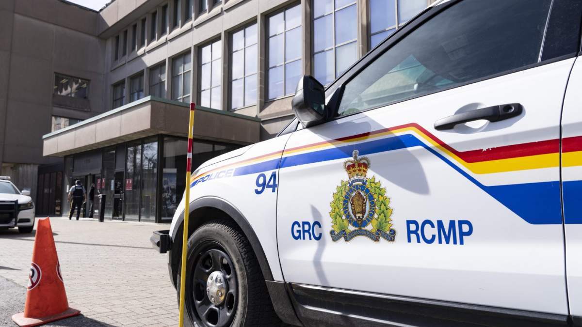 Pedestrian dead following early morning collision near Moncton, N.B.