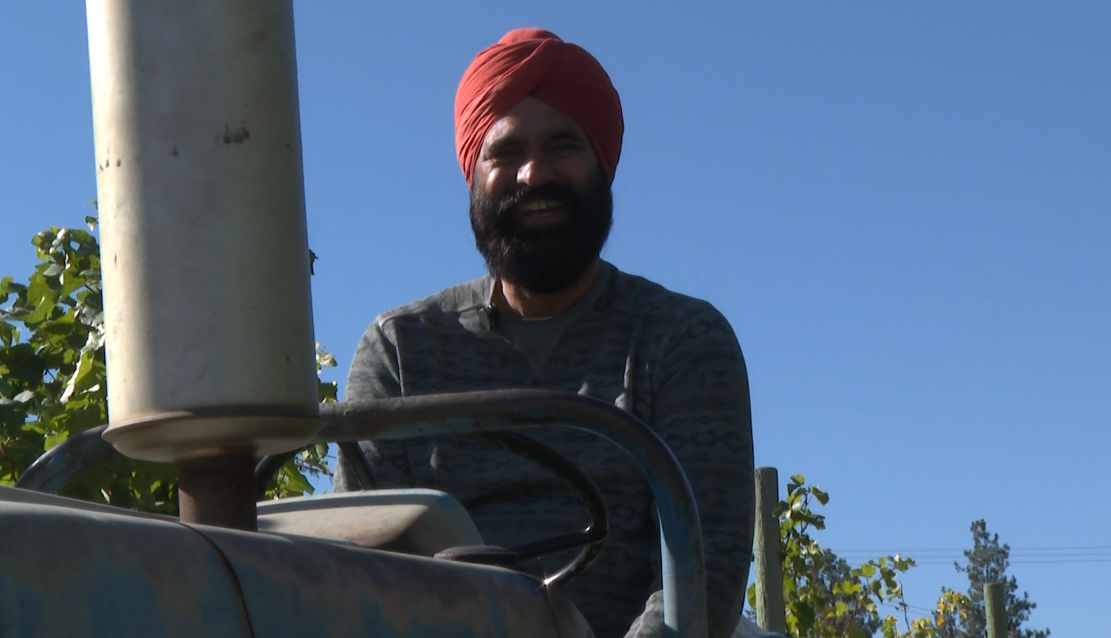globalnews.ca - Cohan Sassaman - Okanagan growers say crop insurance isn't keeping up with a changing climate