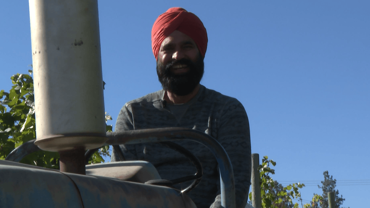 Okanagan growers say crop insurance isn’t keeping up with a changing climate
