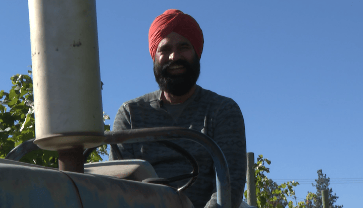 Okanagan growers say crop insurance isn’t keeping up with a changing climate