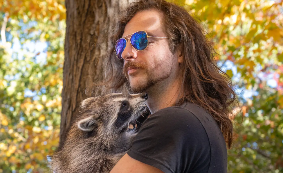 Montreal man fights charges after rescuing baby raccoon ‘Pepper’ that bonded to him