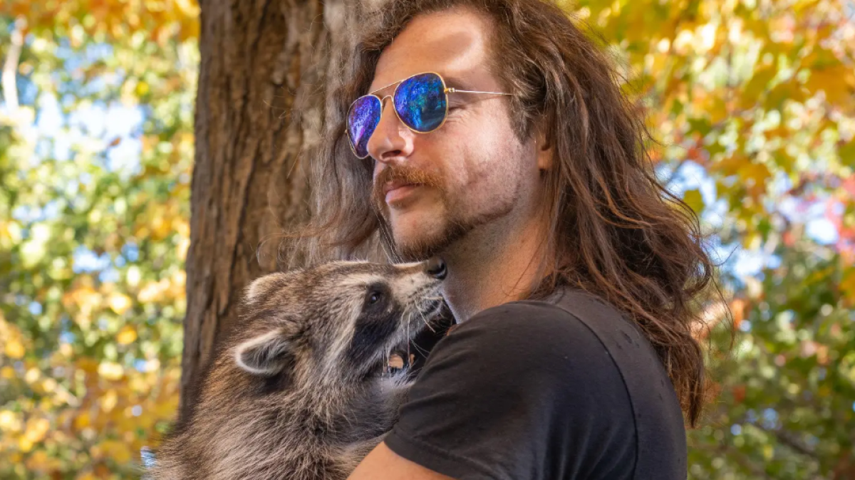 Montreal man fights charges after rescuing baby raccoon ‘Pepper’ that bonded to him