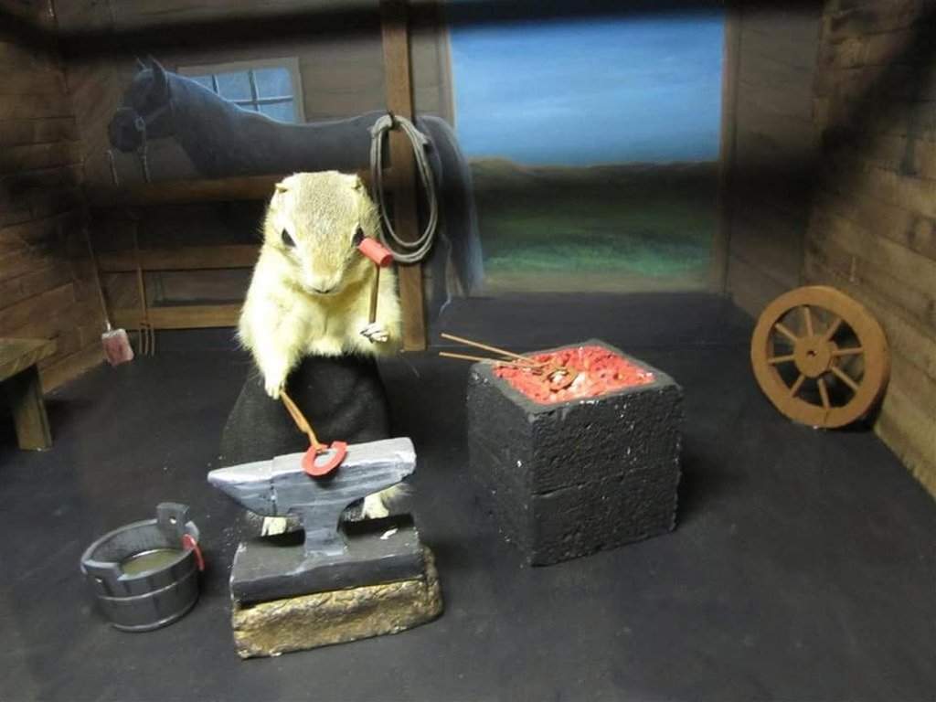 Stuffed Richardson’s ground squirrels are displayed at the World Famous Gopher Hole Museum in Torrington, Alta.
